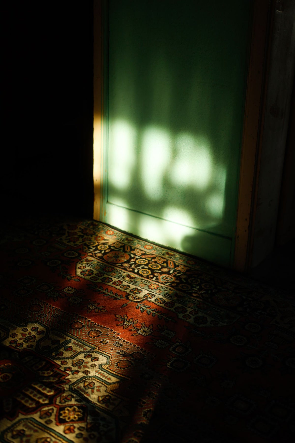 Illustrative rug photo; not confirmed as the actual product.